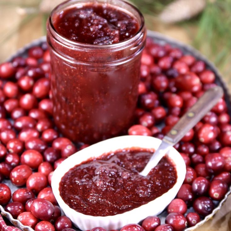 Cranberry BBQ sauce in mason jar, in small oval bowl with spoon on a tray with fresh cranberries