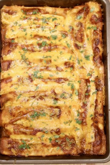 Grilled Chicken Enchiladas Recipe - Out Grilling