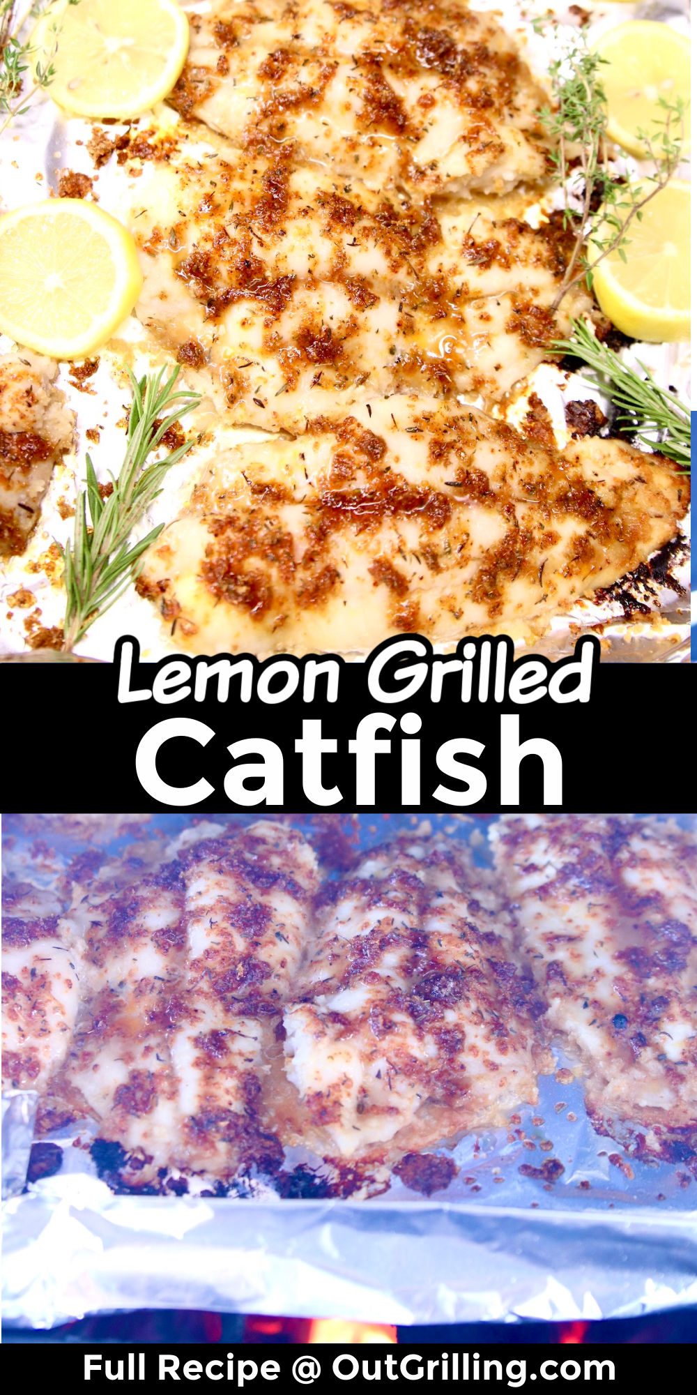 Lemon Grilled Catfish Recipe - Out Grilling