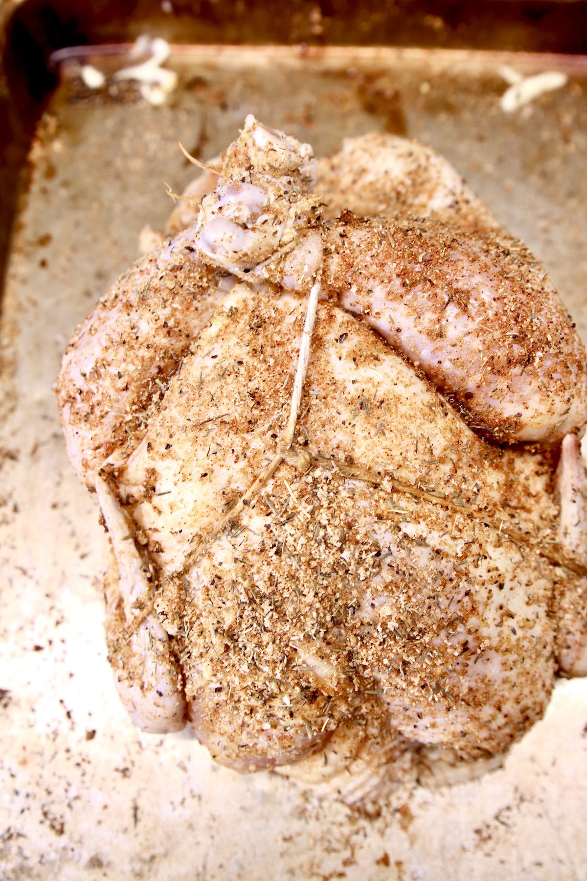 Seasoned chicken - tied up ready to grill