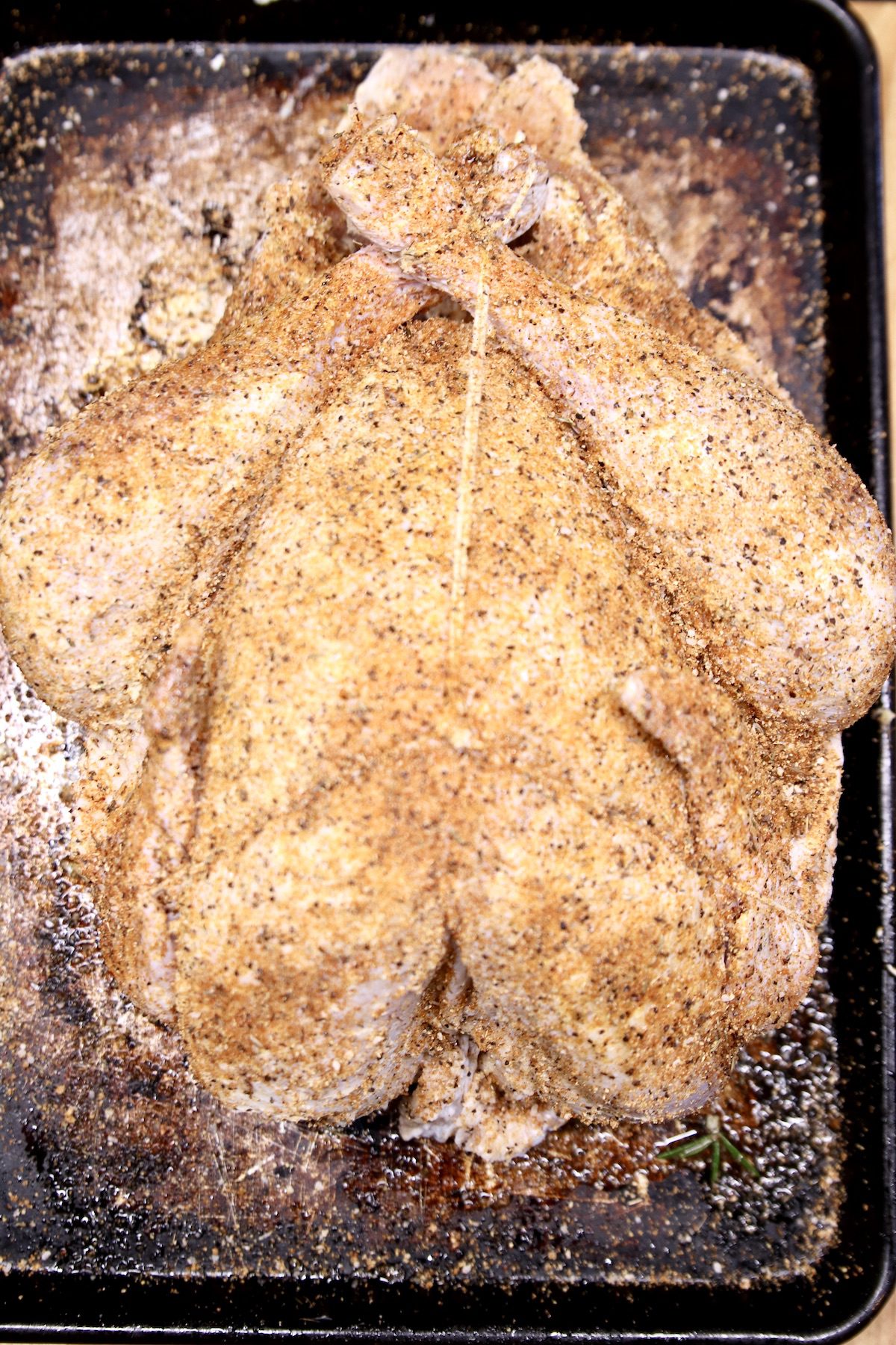 dry rub whole turkey tied with twine