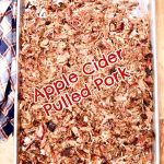 pulled pork - text overlay