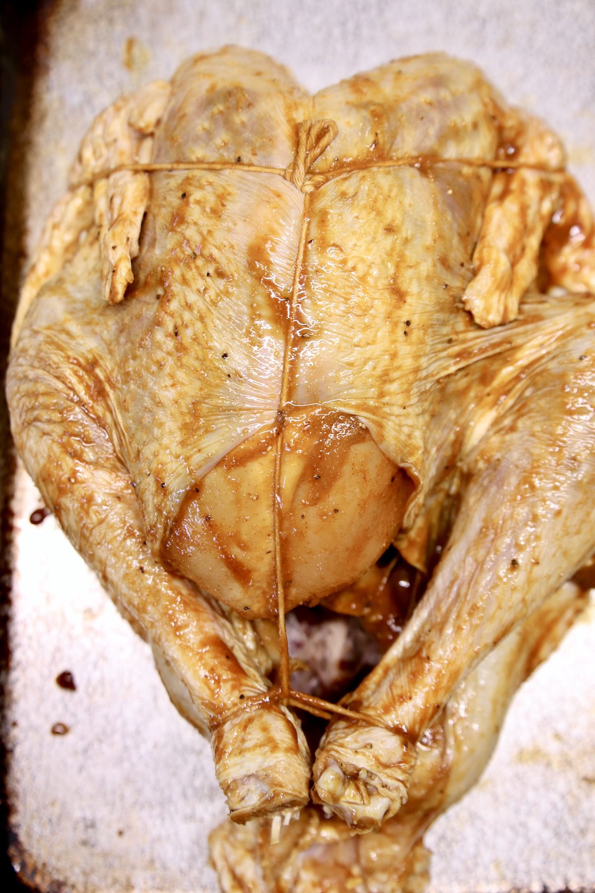 molasses mustard glazed turkey - trussed and ready to grill
