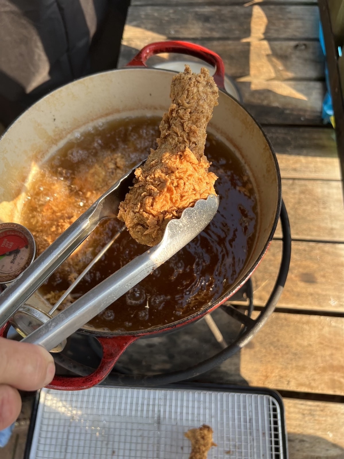 Fried chicken drumstick in tongs.