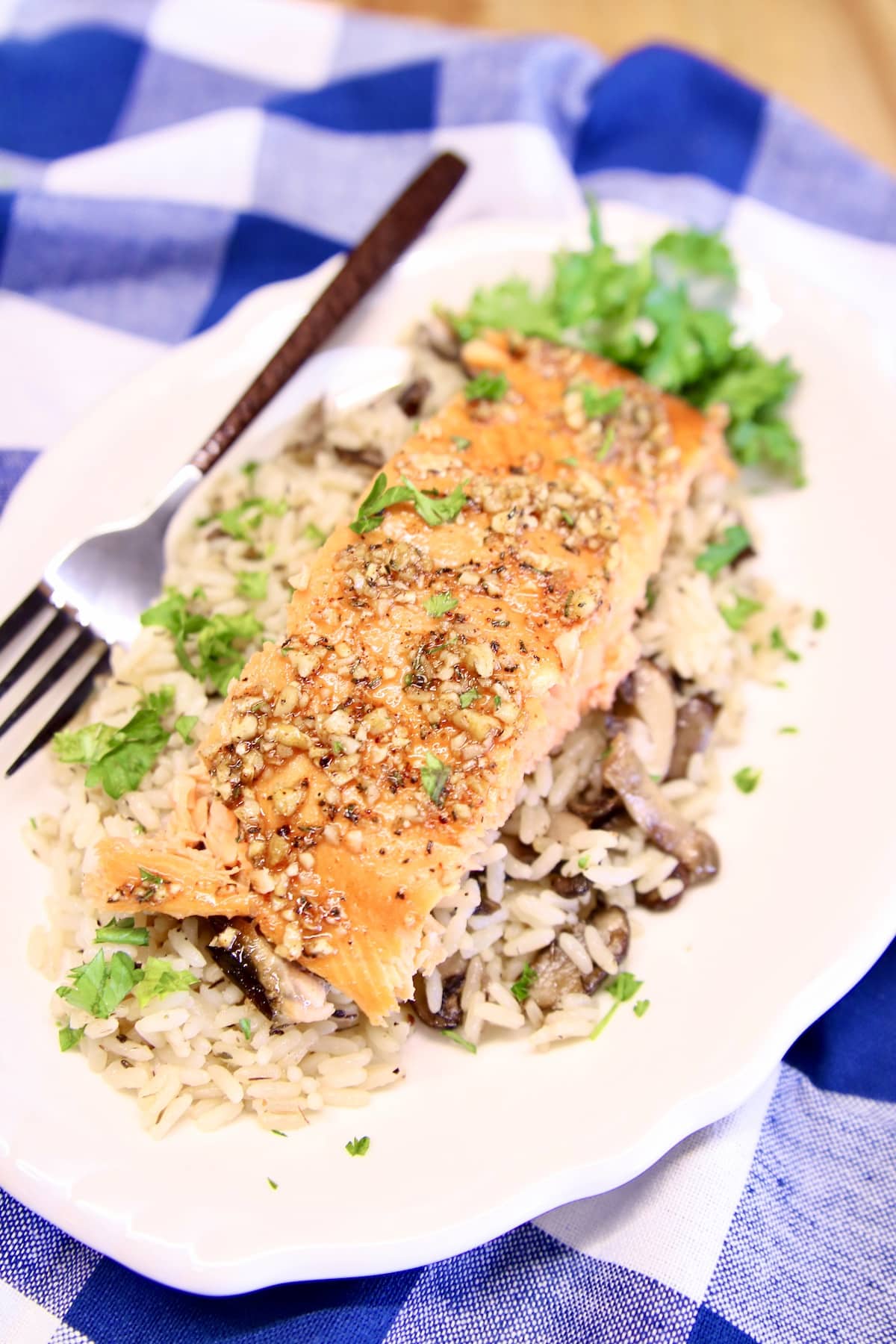 Filet of salmon over rice.