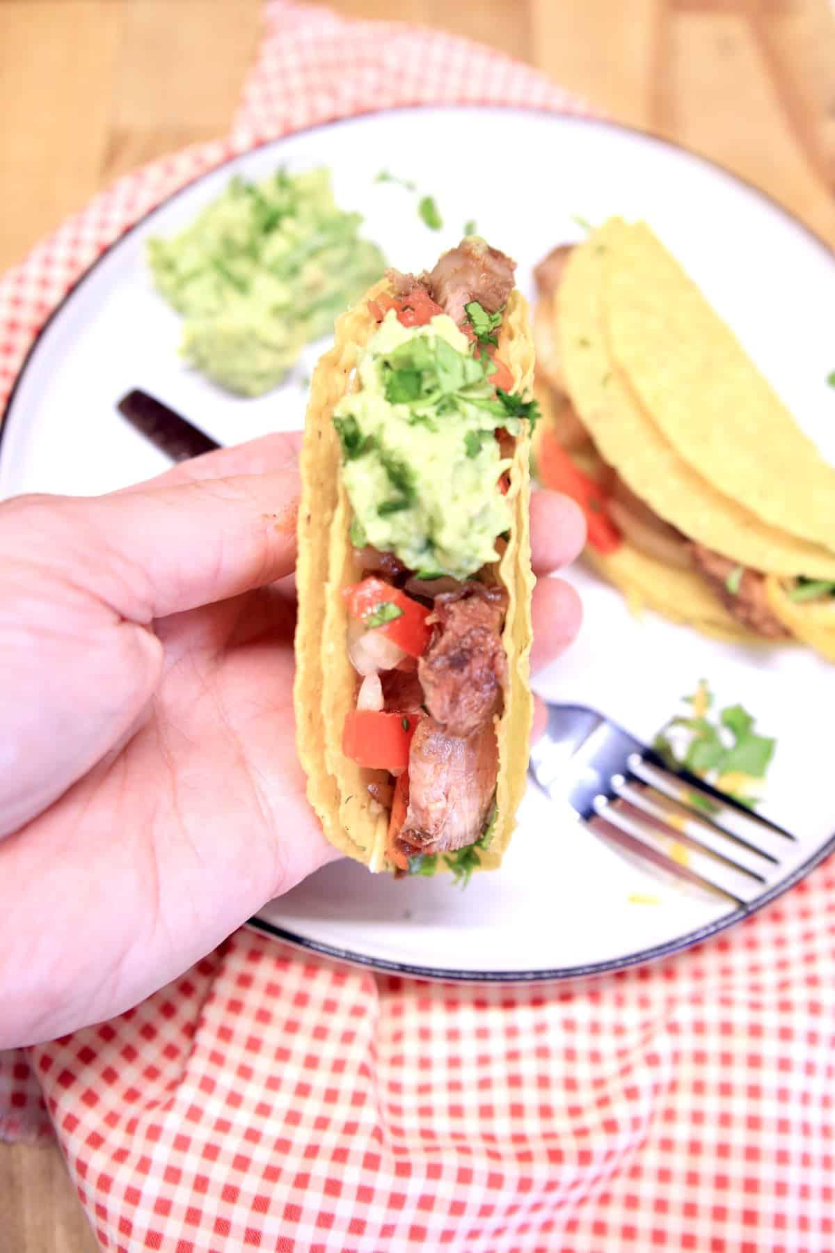 Hand holding steak taco.