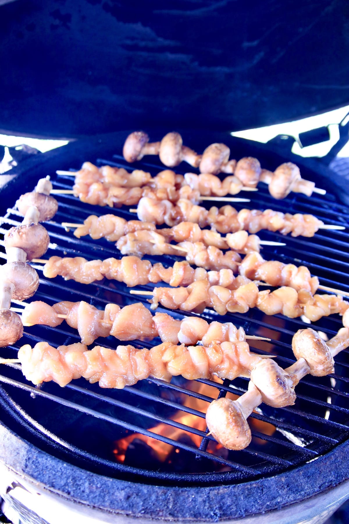 Chicken skewers on a grill.