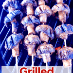 Steak kabobs on a grill - text overlay.