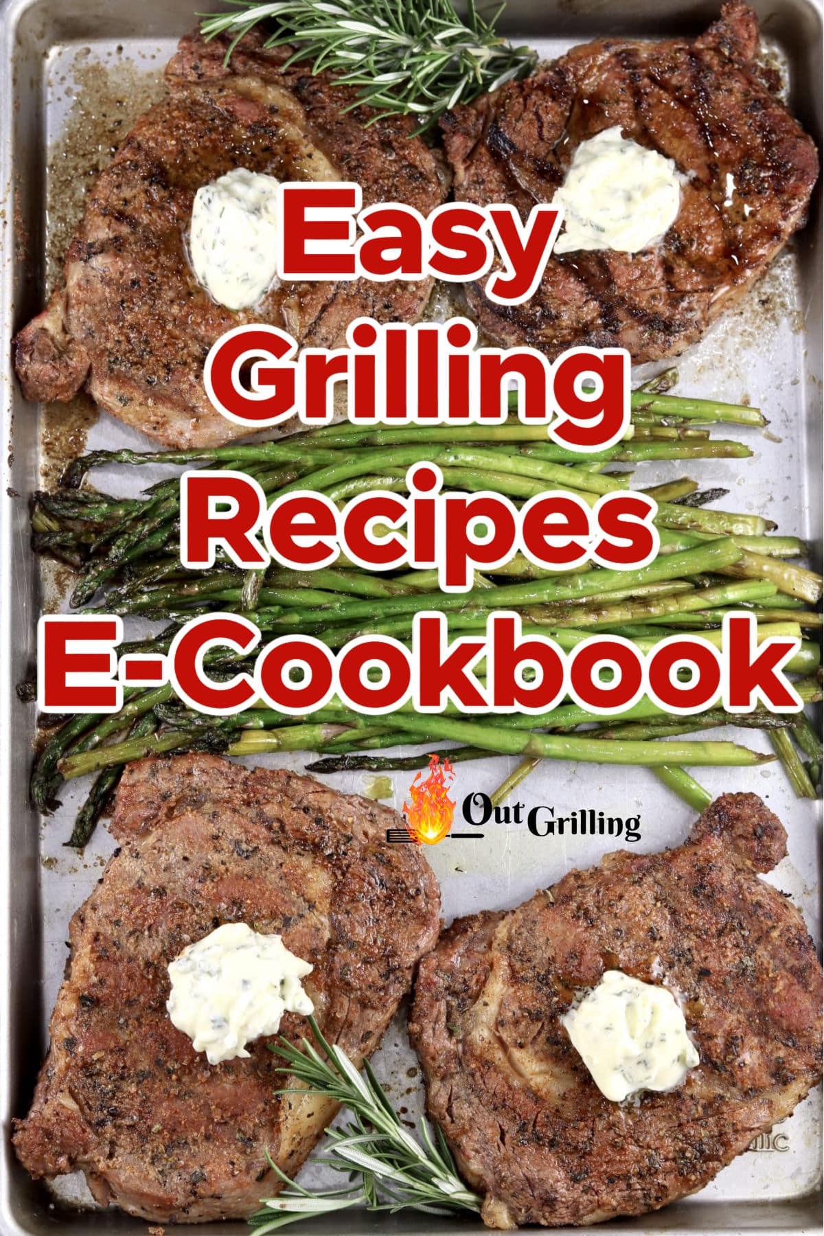 Grilled steaks cover for free ecookbook OutGrilling.com.