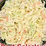 Best Coleslaw for BBQ in a bowl - text overlay.