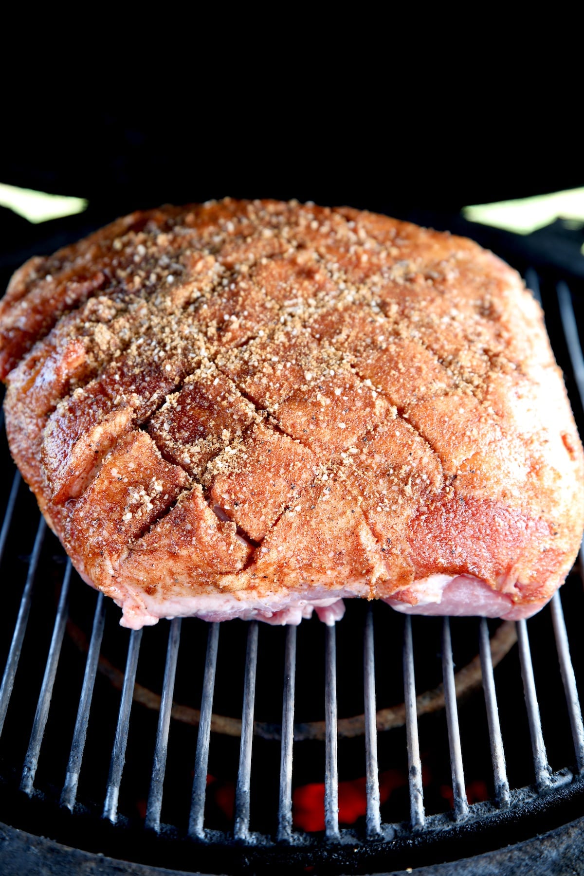Pork butt on a grill.