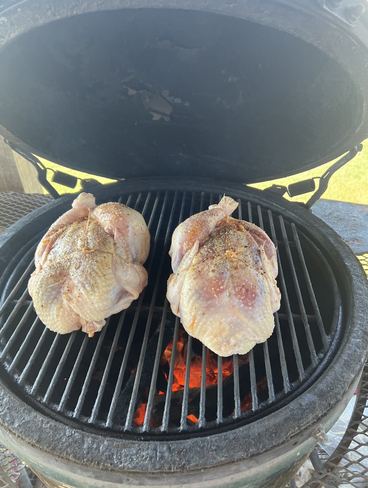 2 whole chickens on a grill.