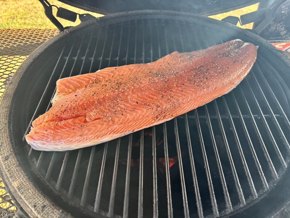 Grill with side of salmon fillet.